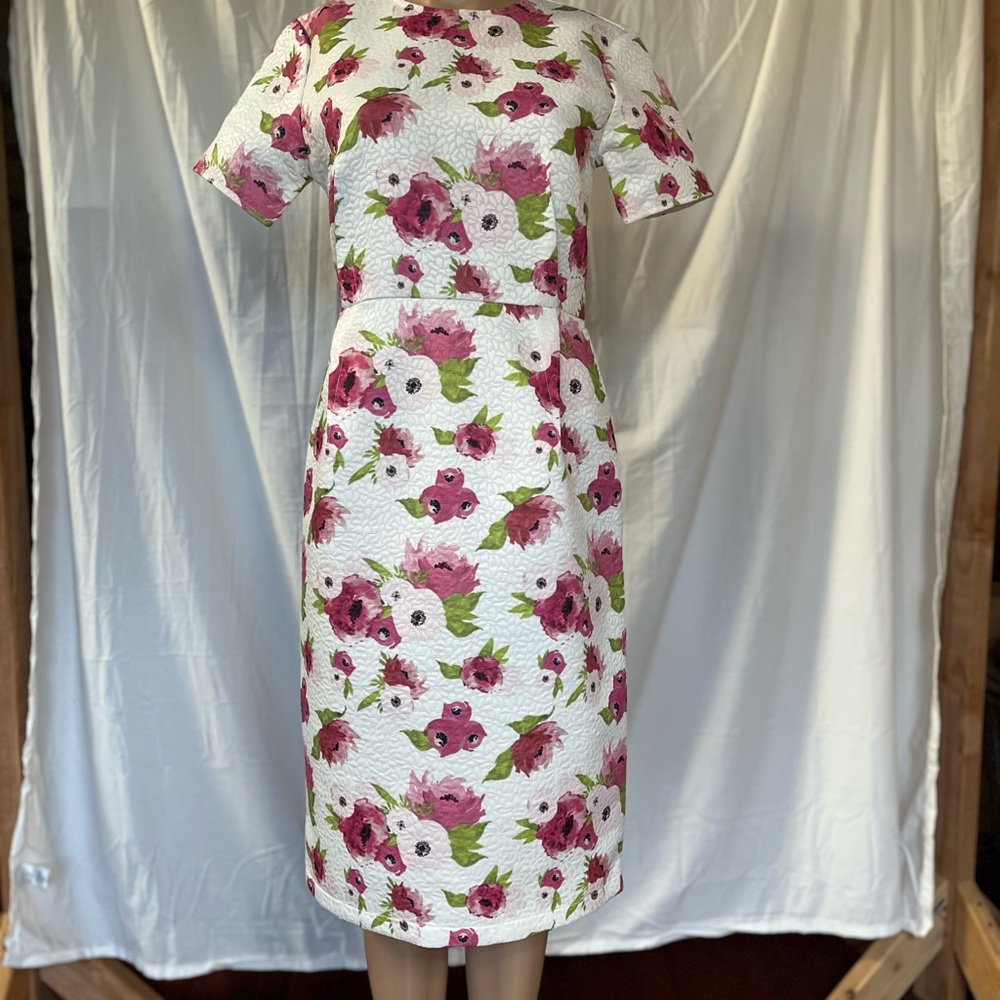 Rachel Parcel Floral Pink Peony Floral Sheath Dress Back Zip Small